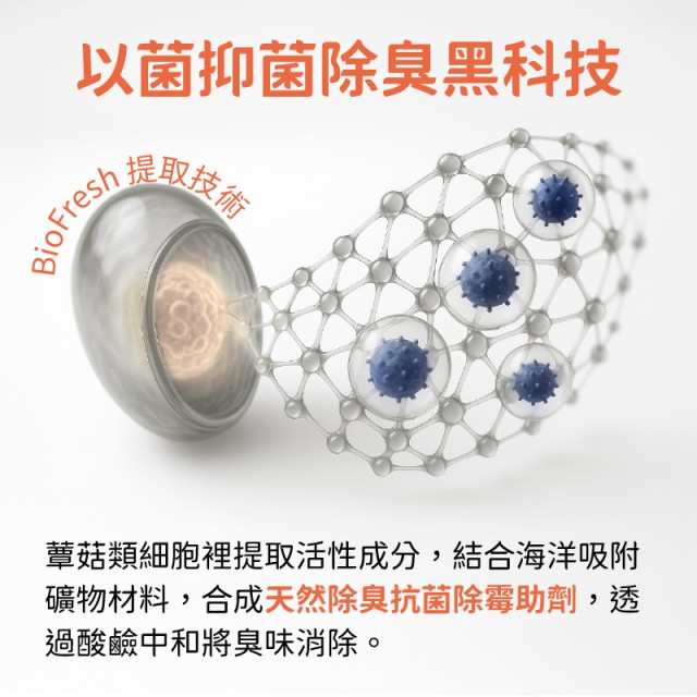 多功能核心支撐鞋墊