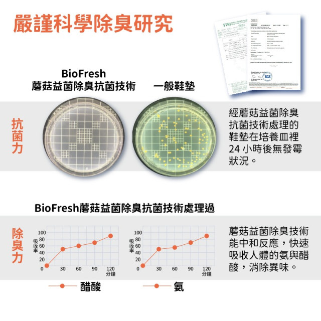 多功能核心支撐鞋墊